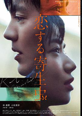 院线公映版海报